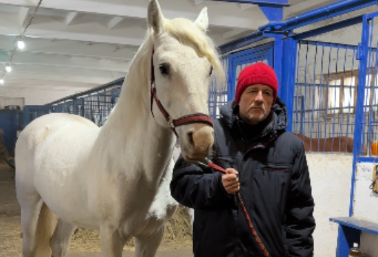 Работники красноярского ипподрома записали обращение к Владимиру Путину