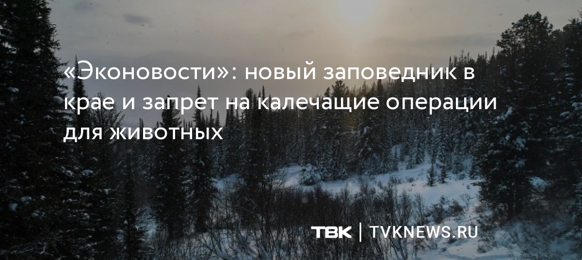 Запрет в красноярском крае. Осений запрет нарыбалку вкрасноярском крае. Qr код автобус красноярск. Конфессиональный состав красноярского края. Запрет в красноярском крае.